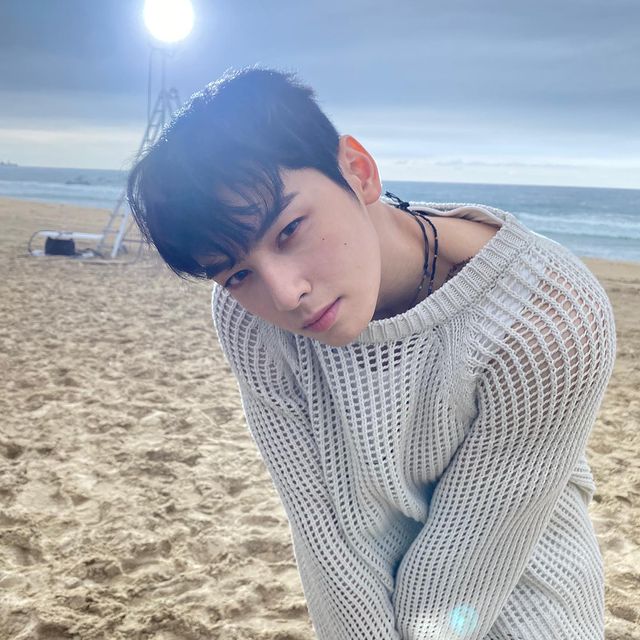 ชาอึนอู