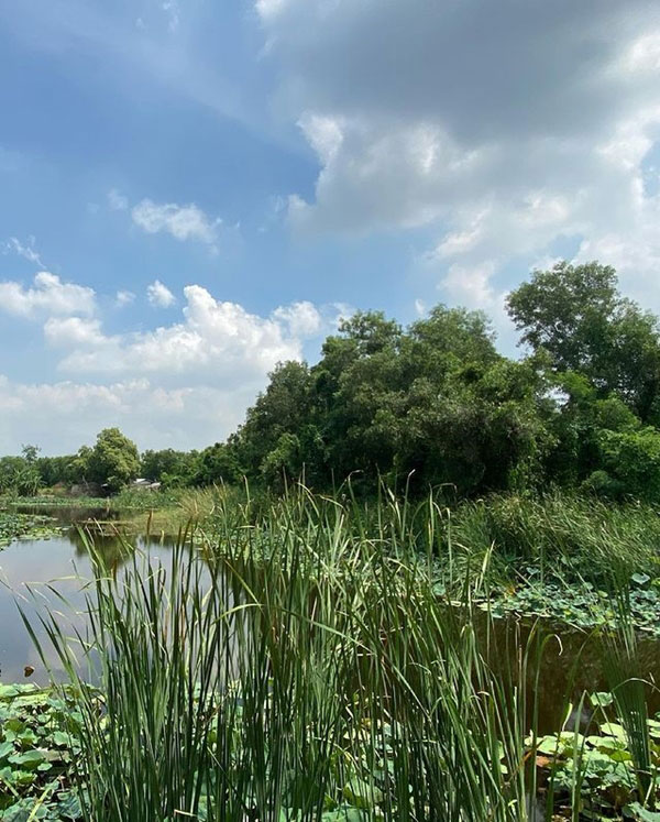 บ้านสวน เคน ธีรเดช หน่อย บุษกร