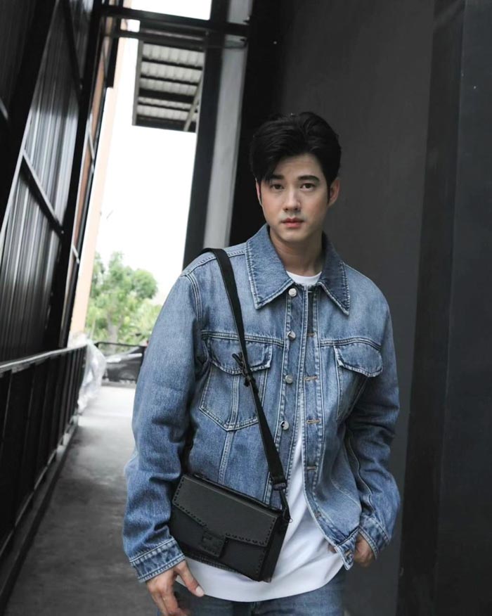 มาริโอ้ เมาเร่อ