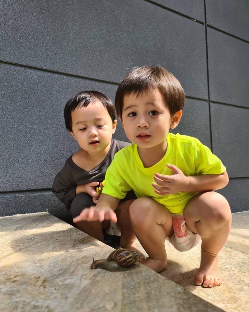 น้องสายฟ้า น้องพายุ