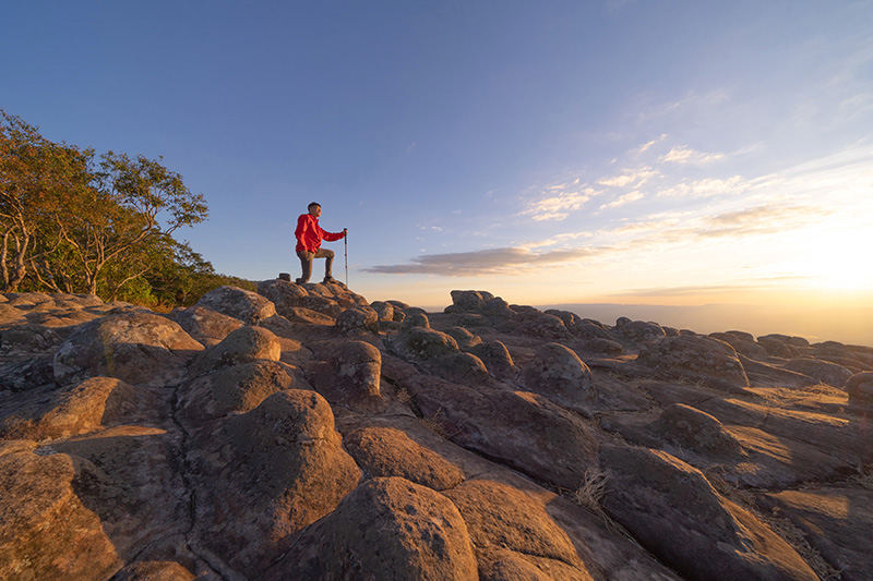 ที่เที่ยวหน้าหนาว 2568 ภูหินร่องกล้า