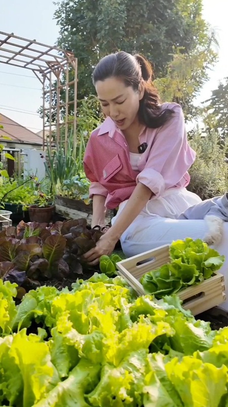 จอย รินลณี รีวิวกินผลมอนสเตอร่า