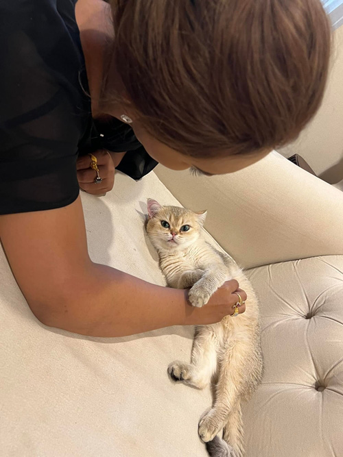 แมว แตงโม นิดา 