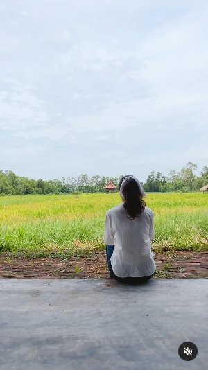 วิว วรรณรท