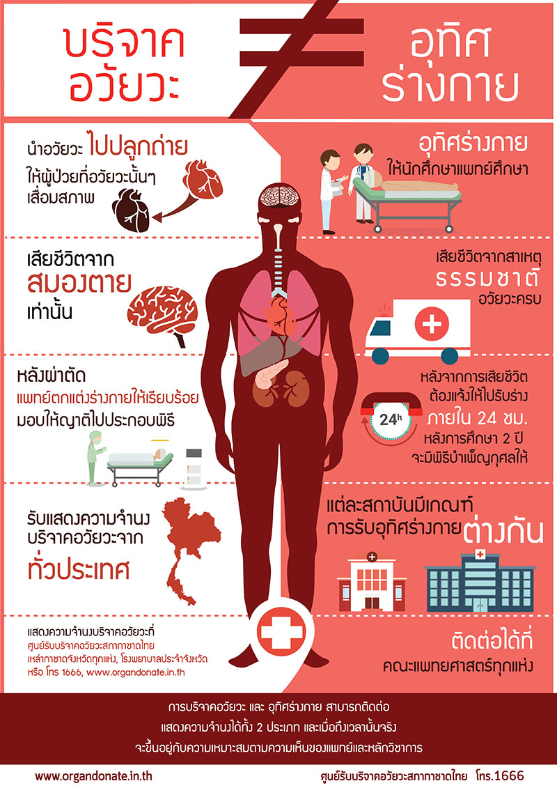 บริจาคร่างกาย ที่ไหนได้บ้าง บริจาคอวัยวะต้องทํายังไง