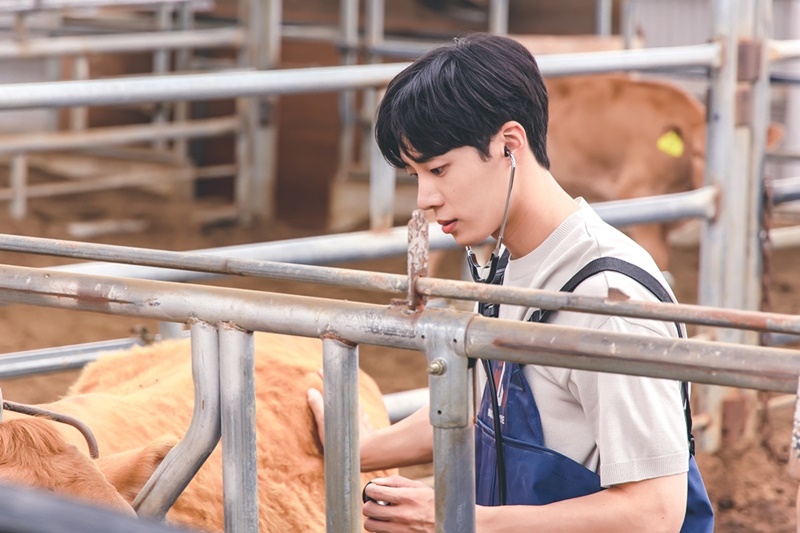 Once Upon a Small Town บันทึกรักในเมืองเล็ก