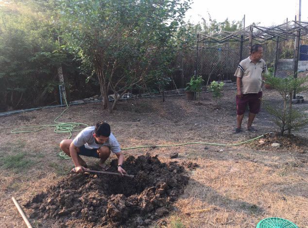 แมงปอ ชลธิชา