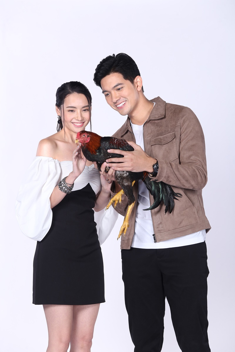  เขยบ้านไร่สะใภ้ไฮโซ