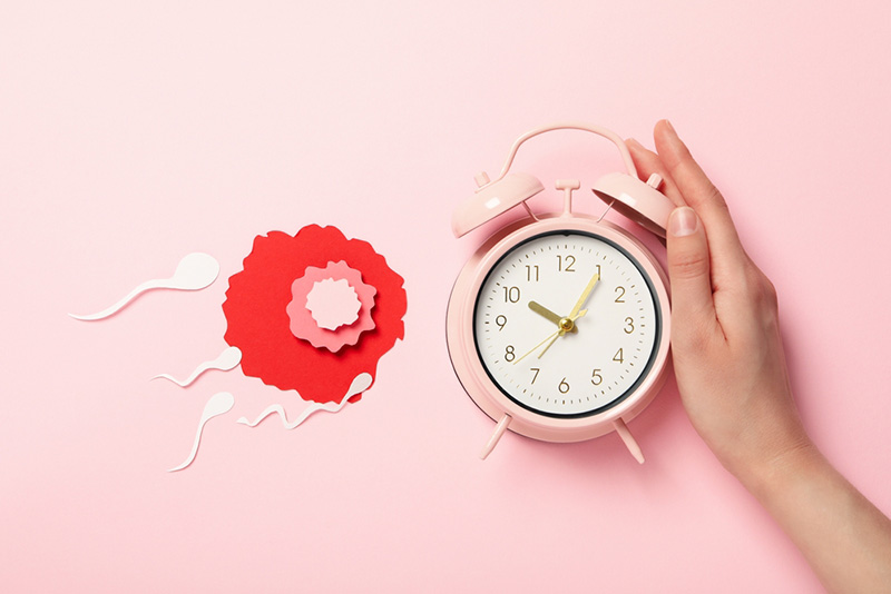 ระยะไข่ตก