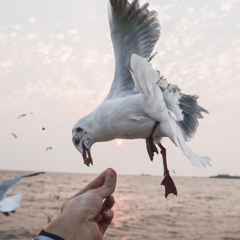 สถานตากอากาศบางปู