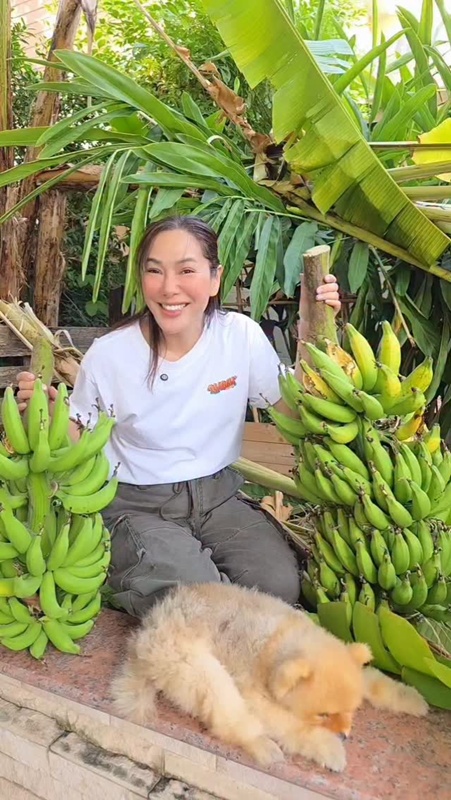 จอย รินลณี รีวิวกินผลมอนสเตอร่า