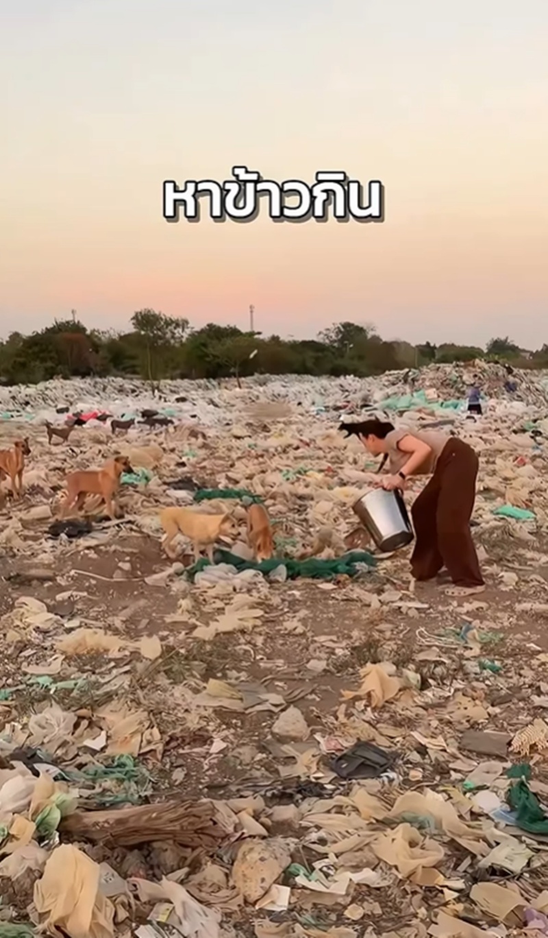 ปุ๊กลุก ไมค์ ช่วยหมาจร