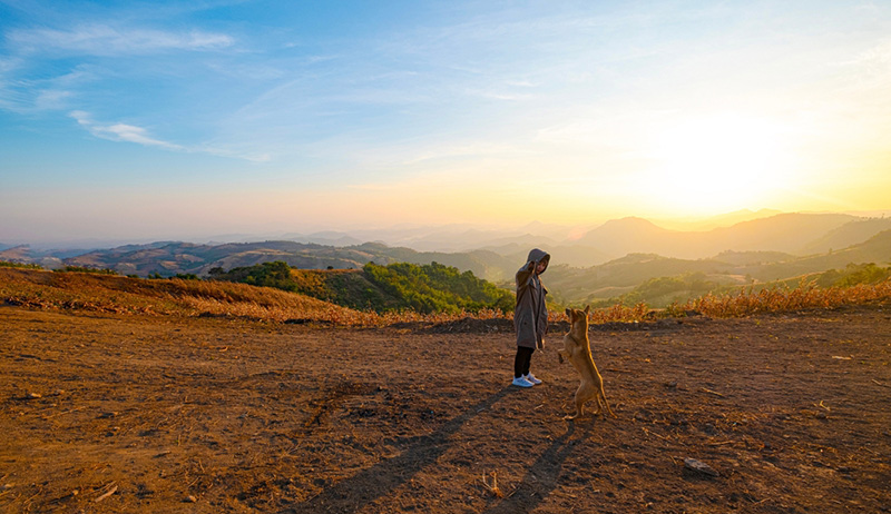 ดงอีมู้ เลย