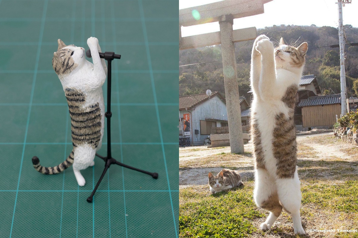 มีมสัตว์