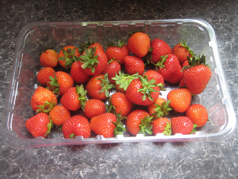 สตรอว์เบอร์รี พานาคอตต้า เมนูของหวาน พานาคอตต้า สูตรขนม