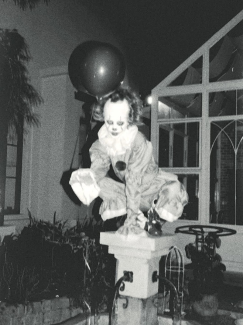 ใบเฟิร์น พิมพ์ชนก