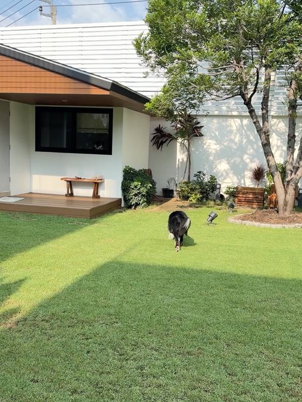  เจมส์ จิรายุ 