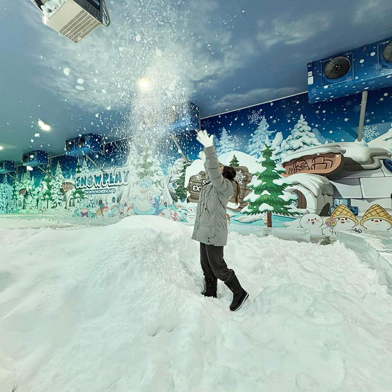 ที่เที่ยวเมืองหิมะ Snowyn Wonderland