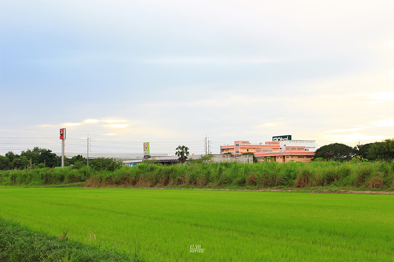 จุดชมวิวดงตาลสามโคก