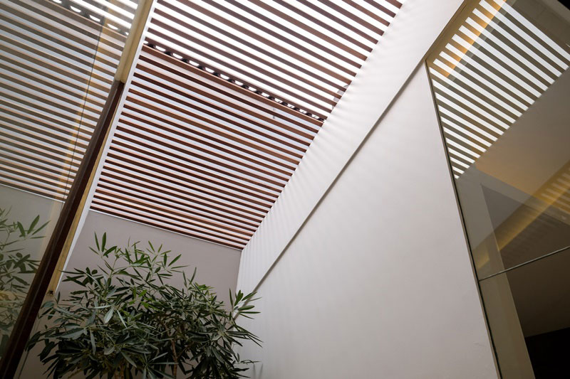 Skylight