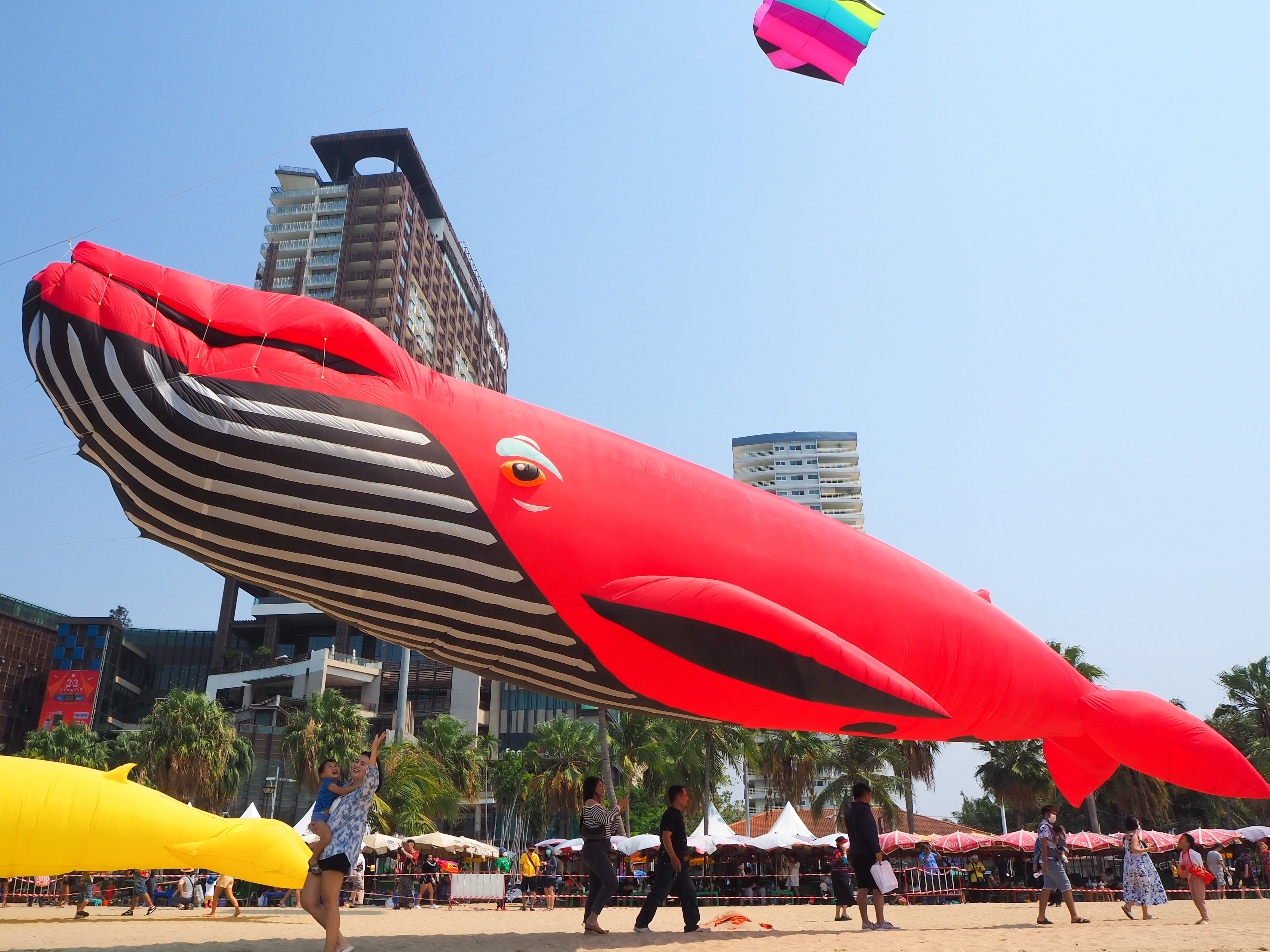 ภาพบรรยากาศงานว่าวพัทยา 