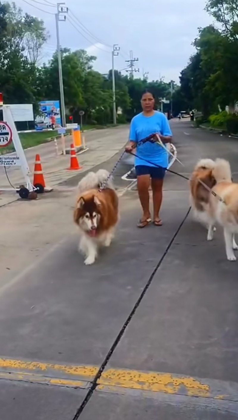 สุนารี พาหมาไปเดินเล่น แต่เจอแซะอวดรวย