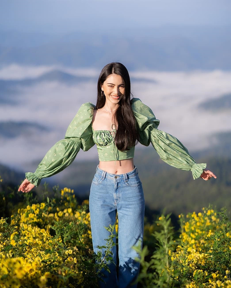 ใหม่ ดาวิดา