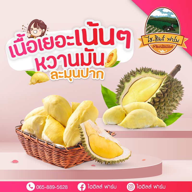 สวนทุเรียนหลงลับแล หลินลับแล