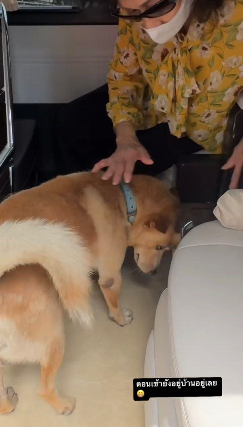 คุณชายถั่ว หมาอั้ม พัชราภา