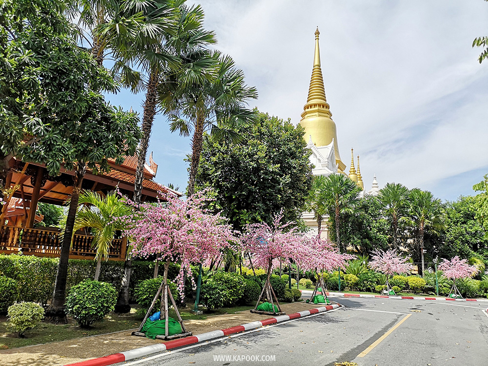 วัดตะโก หลวงพ่อรวย