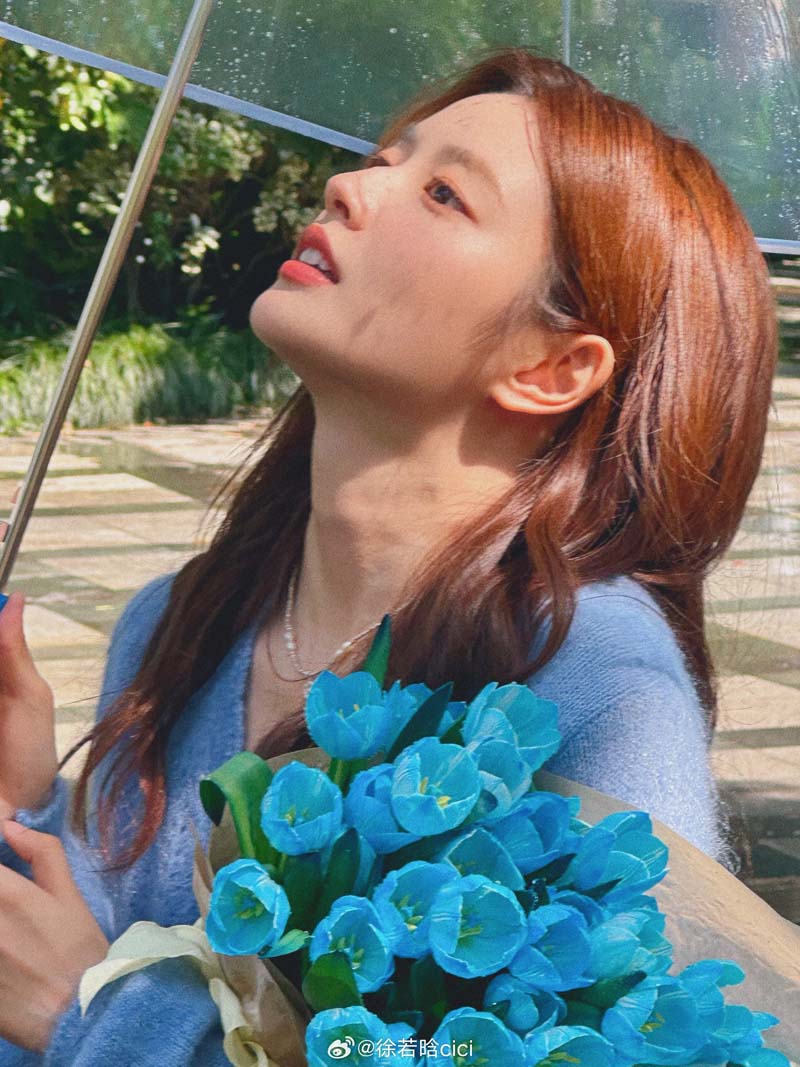 สวี่รั่วหาน ประวัติ xu ruohan