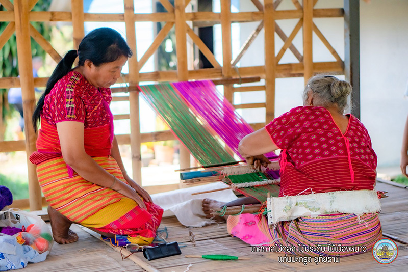 เทศกาลไม้ดอกไม้ประดับ ไม้เมืองหนาว แก่นมะกรูด 2568