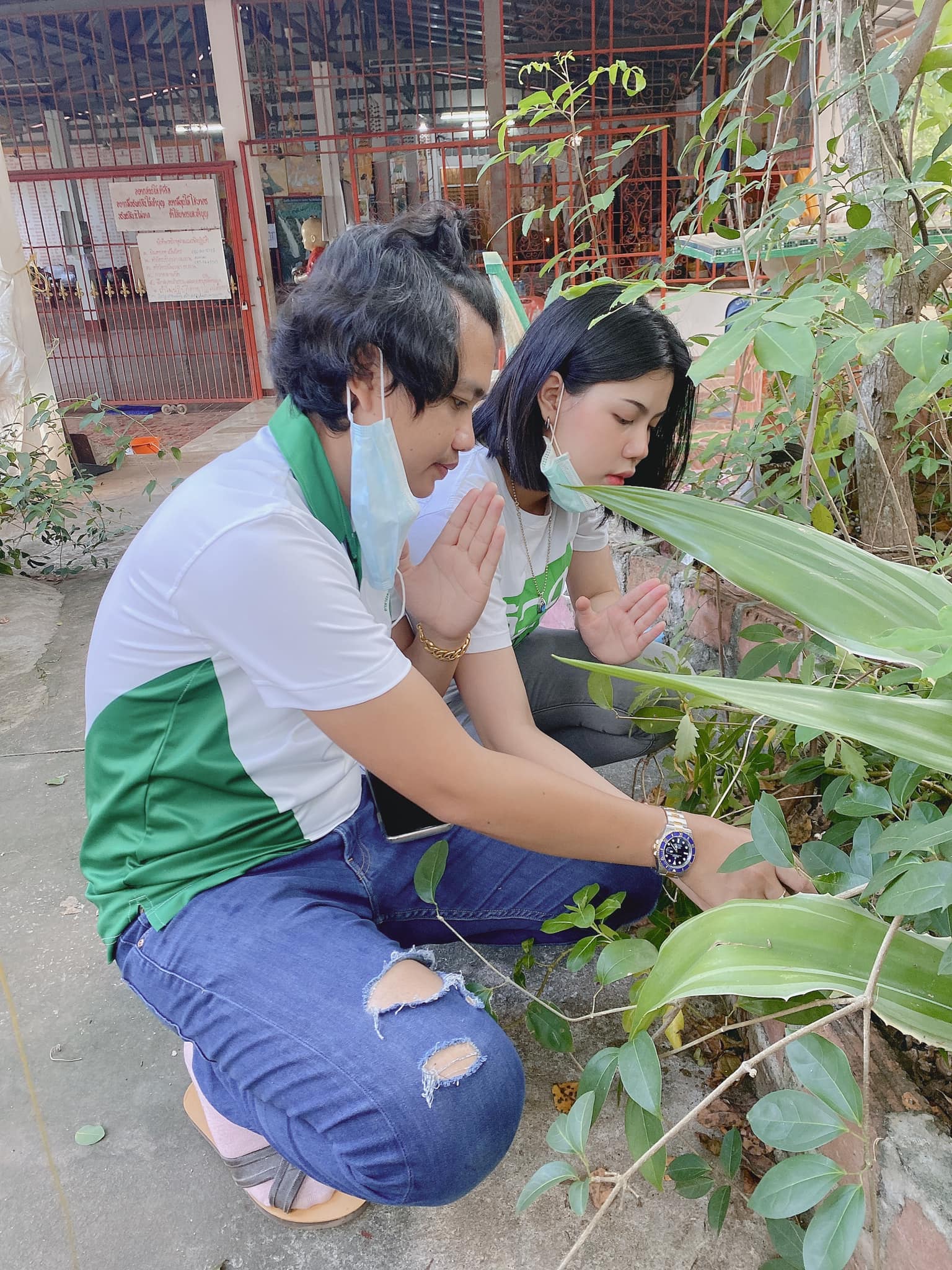 ครูไพบูลย์ กระต่าย พรรณนิภา
