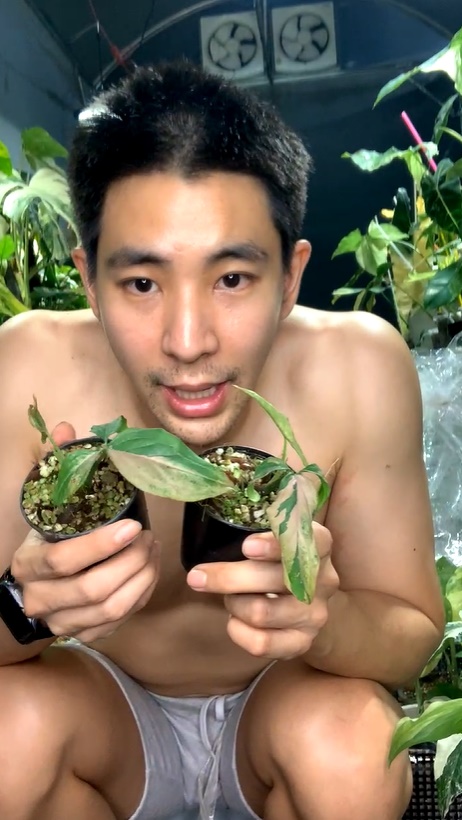 https://s359.kapook.com/pagebuilder/541205af-83d2-462b-a93f-00d429f5b217.jpg