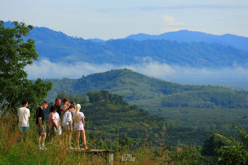จุดชมวิวเสม็ดนางชี