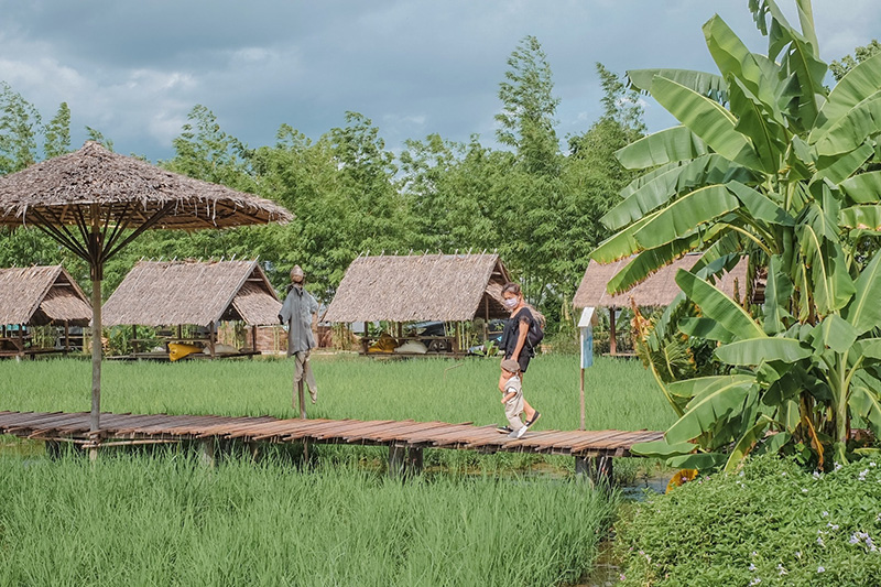 The Ugly Duckling Learning Farm