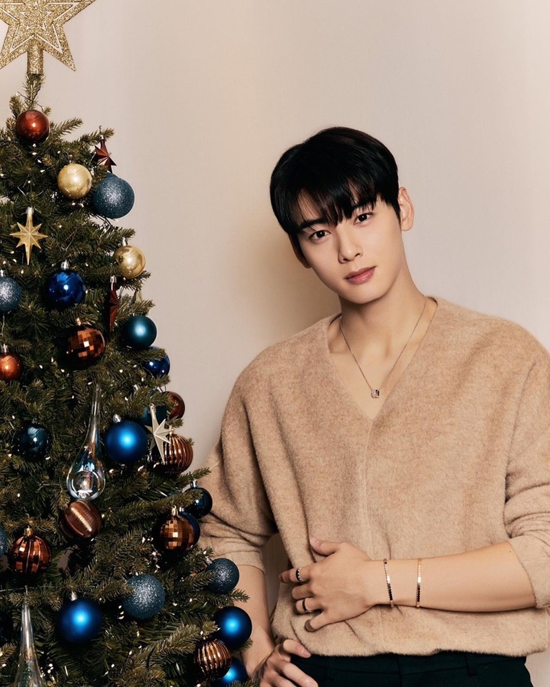 cha eun woo ชาอึนอู