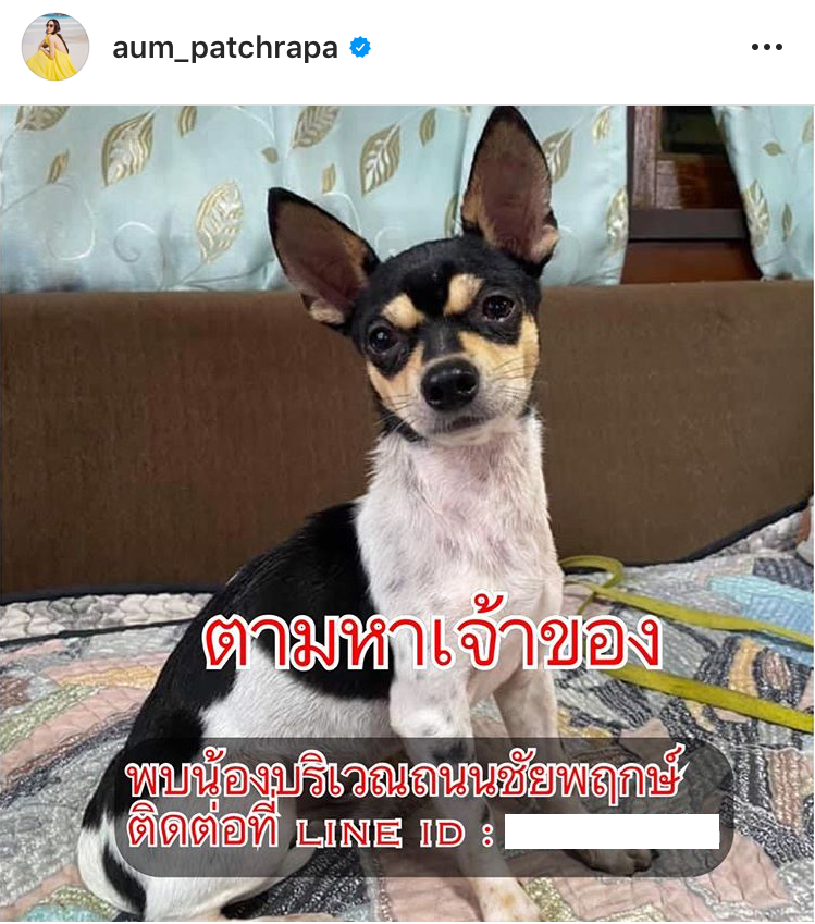 อั้ม พัชราภา