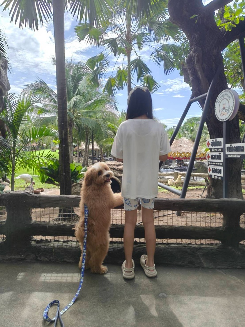 กุ๊บกิ๊บ บี้