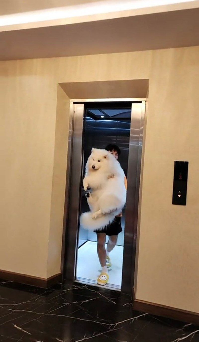 คนอึ้ง ! บ้านบิ๊ก อชิรพล แฟน จ๊ะ นงผณี มีลิฟต์ แต่คอมเมนต์นี้พาอึ้งกว่า ?