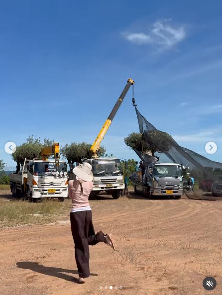 ญาญ่า อุรัสยา ซื้อต้นมะกอกปลูกที่บ้านเขาใหญ่