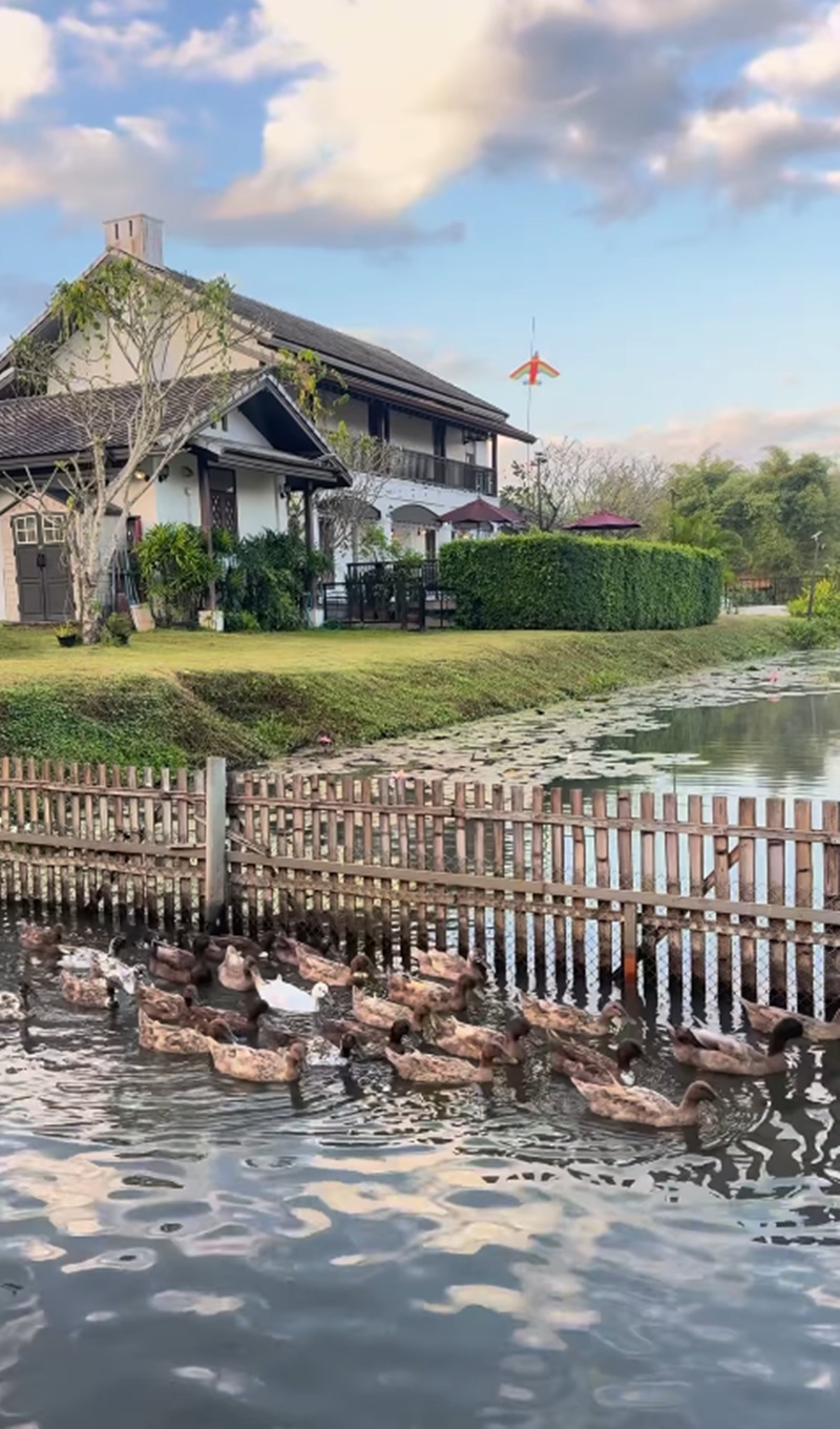 แอน ทองประสม