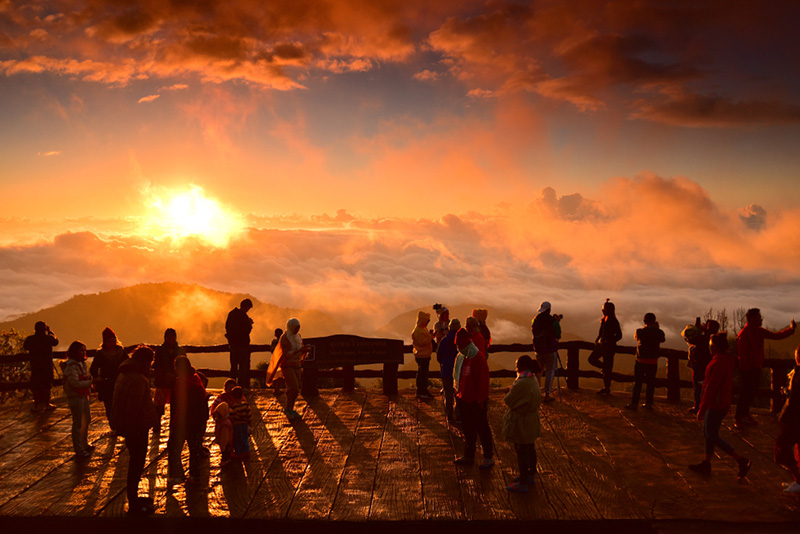 ที่เที่ยวเดือนพฤศจิกายน 2568 ดอยอ่างขาง