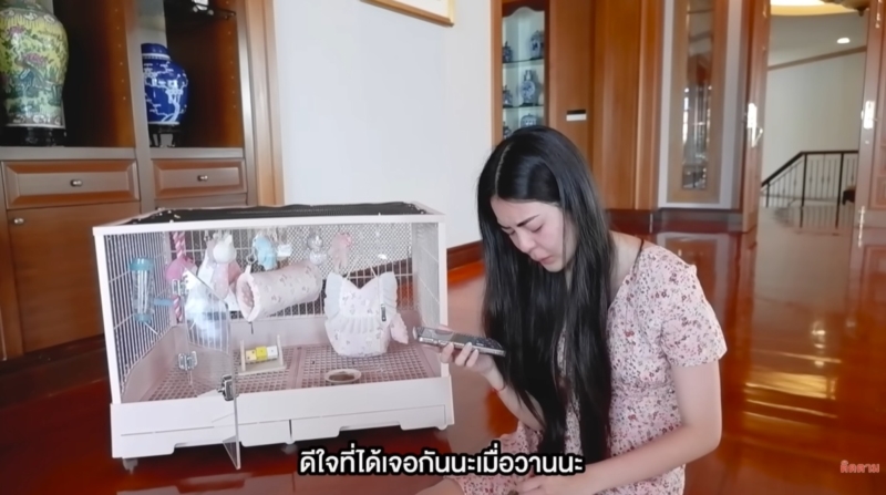 เอวา ปวรวรรณ 