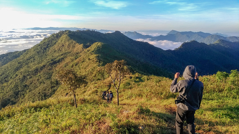 ดอยในเชียงราย