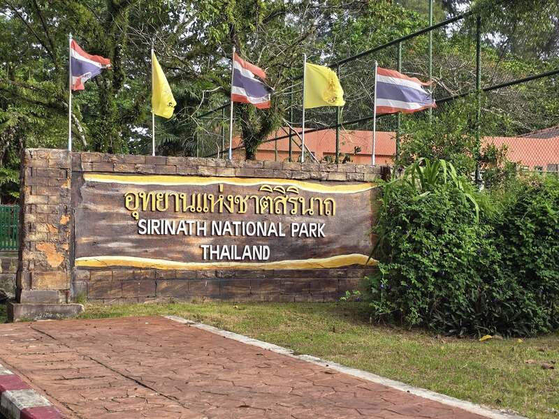 หาดในยาง ภูเก็ต 