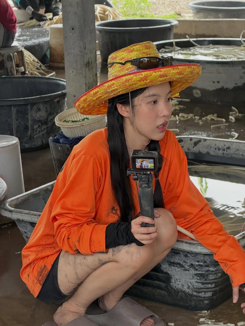 เจนิส เจณิสตา