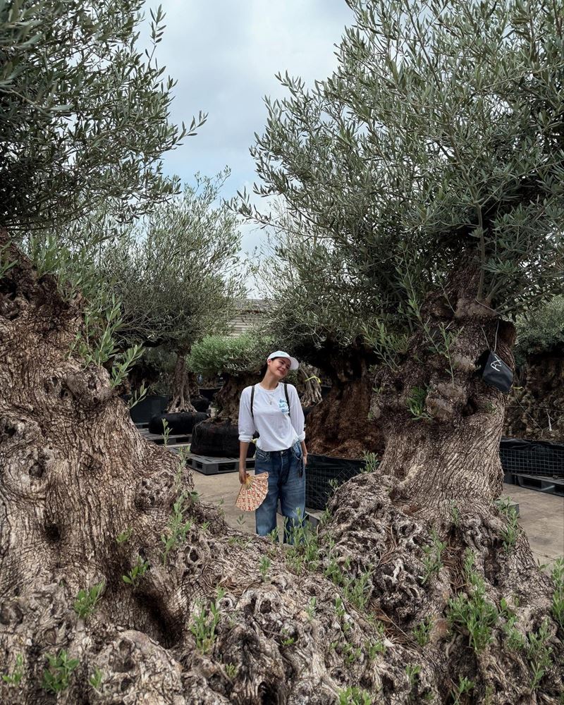 ญาญ่า อุรัสยา ซื้อต้นมะกอกปลูกที่บ้านเขาใหญ่