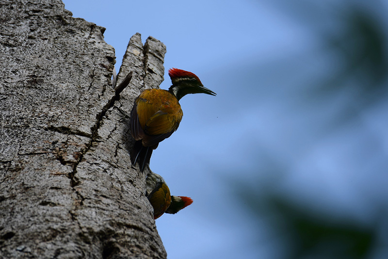 อุทยานแห่งชาติน้ำหนาว