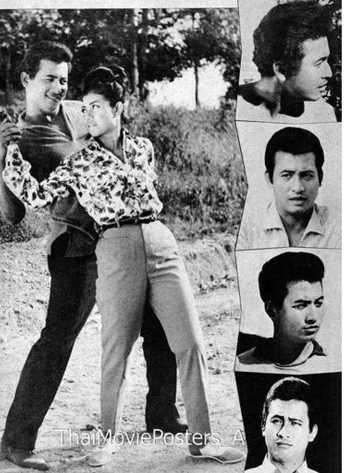 กิ่งดาว ดารณี 